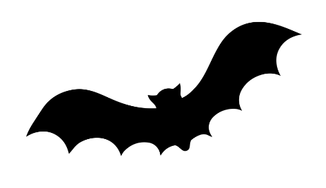 bat removal delaware county pa